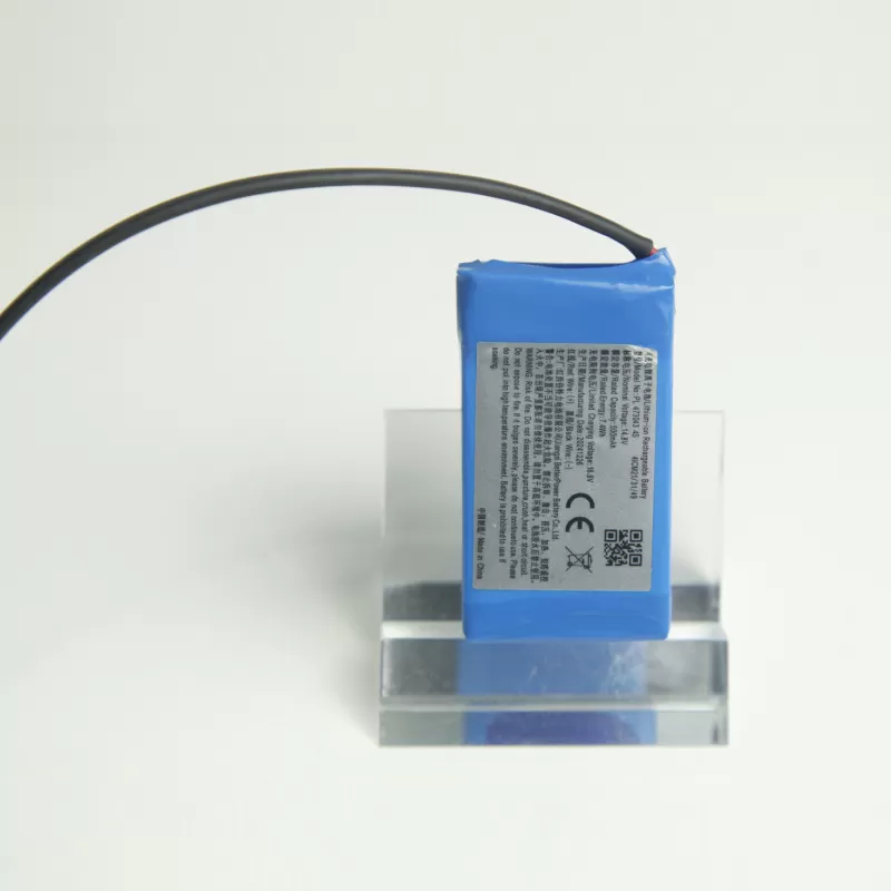 li po battery packs factory