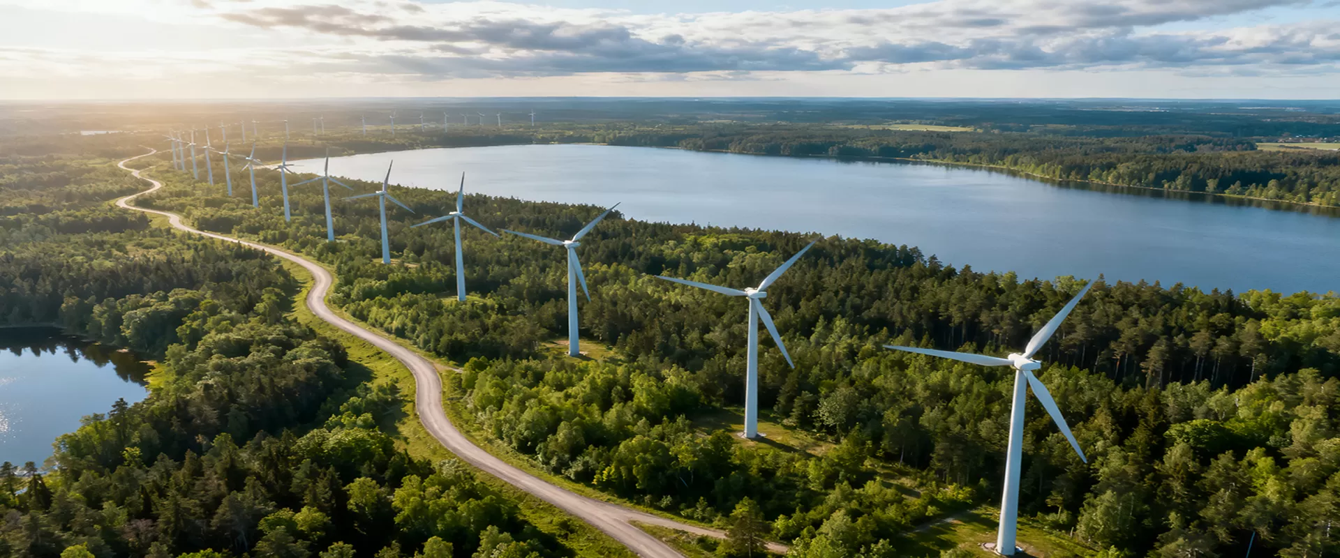 Düşük kendi kendine deşarj pili